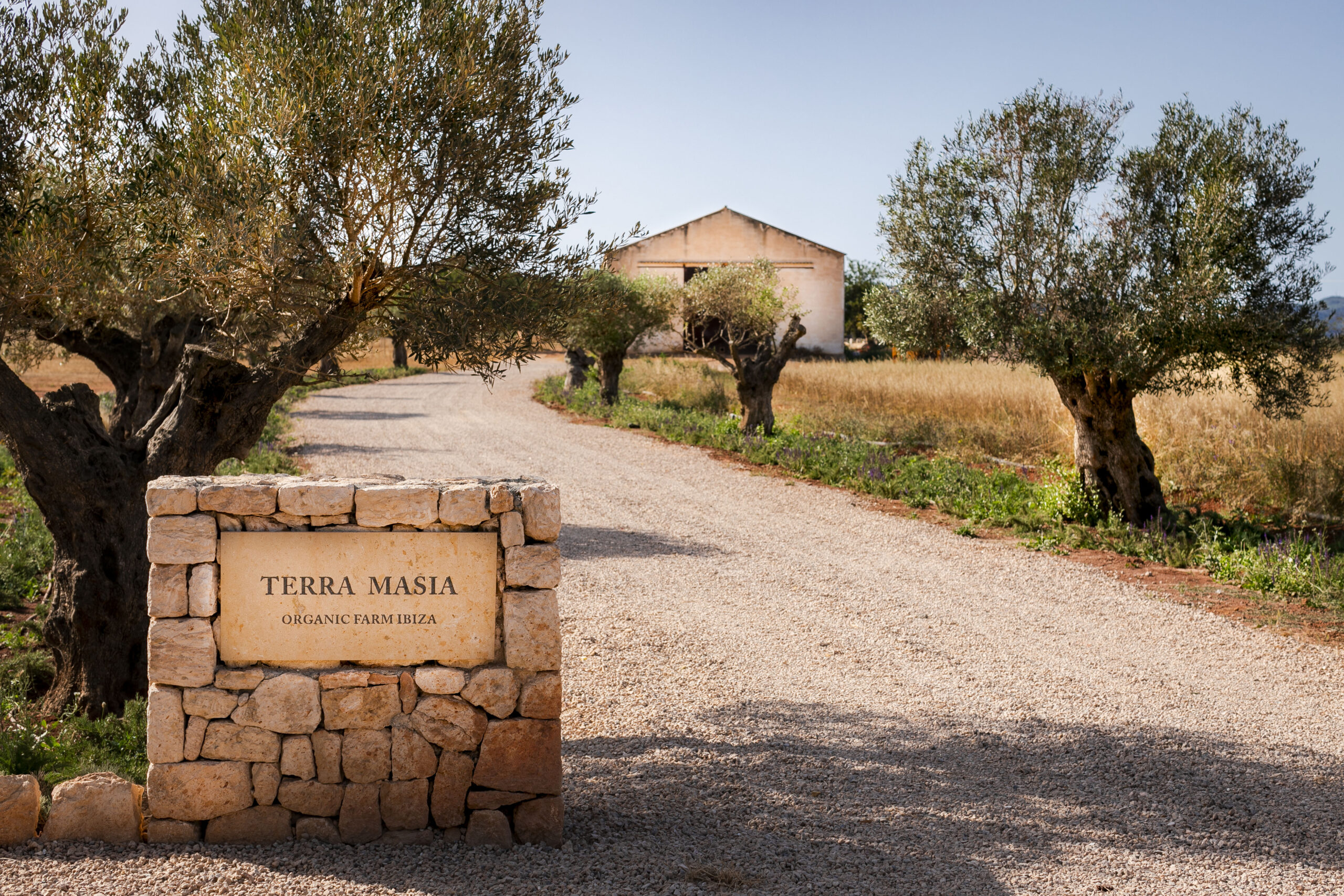 aguas-de-ibiza-2025-finca-ecologica-terra-masia