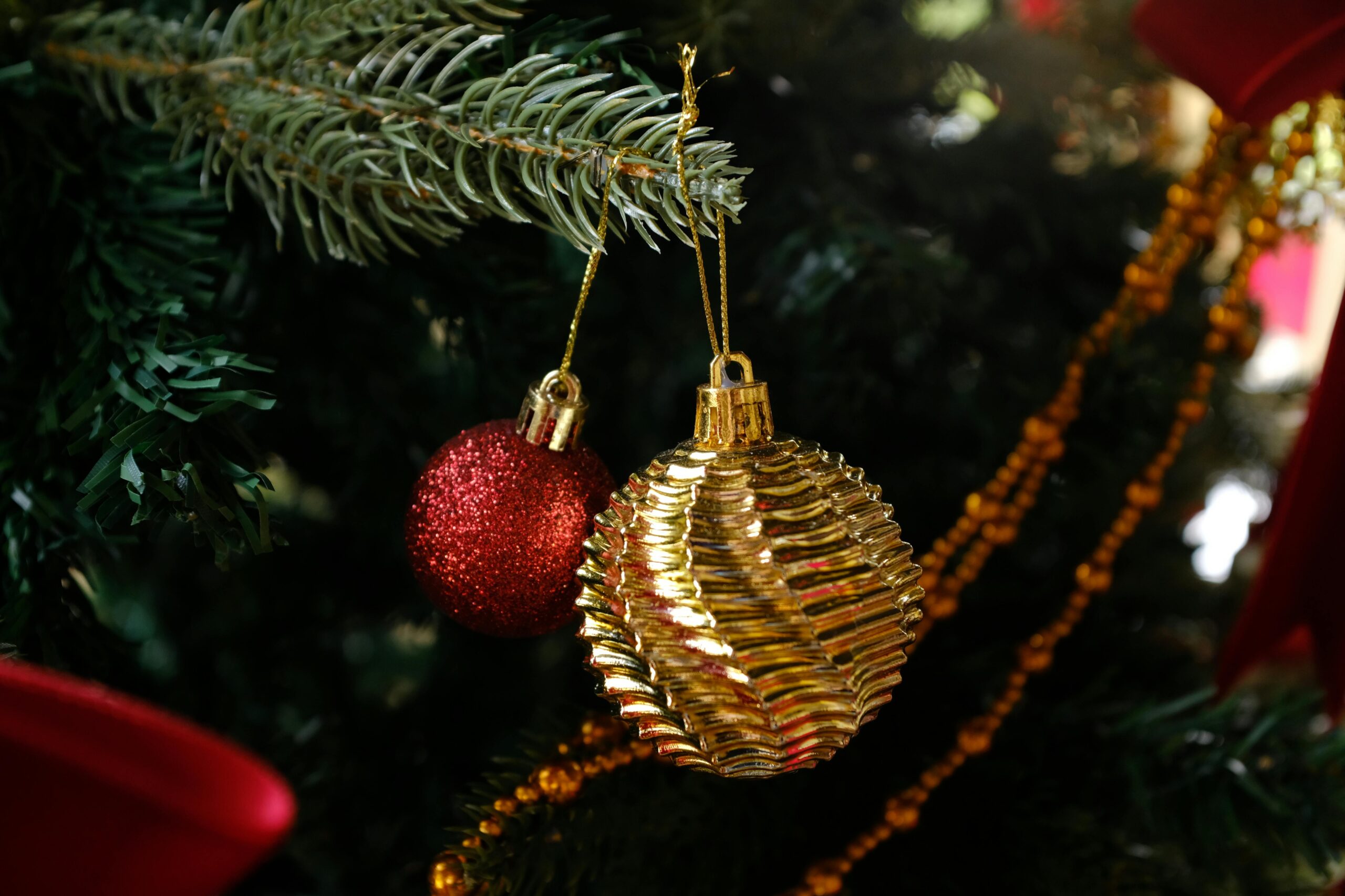 pexels-mazic-34662295